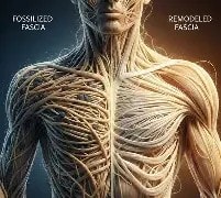 Fascia Sculpt & Flow